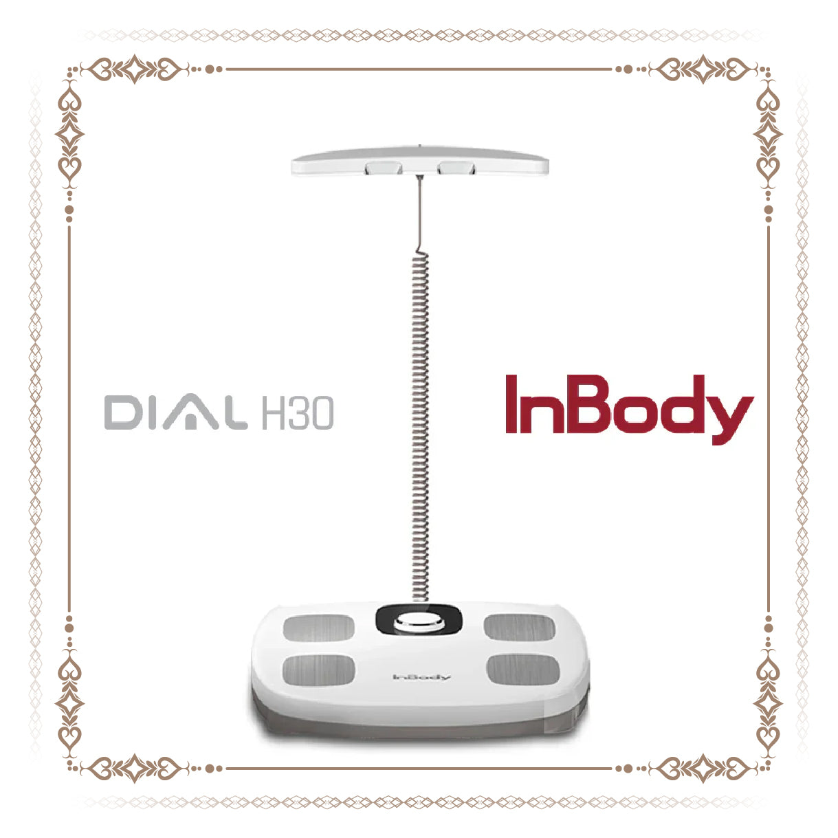 InBody DIAL H30 体組成計 楽天市場】インボディInBody InBodyDial 体組成計 公式 年齢・性別
