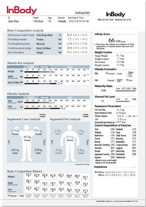 InBody body composition analysis report on a white background